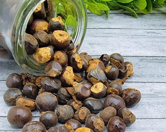 Guarana Seeds: Bulk Dried Herbs