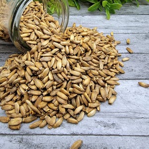 Organic Milk Thistle Seeds