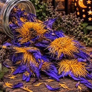 Op de afbeelding: Een omgevallen glazen pot waaruit gedroogde blauwe lotusbloemen met felgele harten vallen. De gedroogde botanische exemplaren hebben diepblauwe bloemblaadjes en gouden meeldraden, verspreid over een donker, getextureerd houten oppervlak.