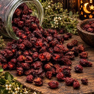 May include: A clear glass jar tipped on its side, spilling a large pile of dried, dark red rose hips onto a dark wooden surface. The wrinkled, spherical fruits are scattered across the wood, with a small wooden bowl and greenery nearby.