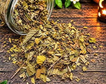 Organic Oregano Leaf