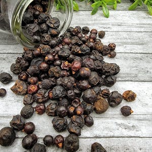May include: A clear glass jar tipped over, spilling dark, dried berries onto a light gray wooden surface. The berries are various sizes and shades of brown and black, with some reddish hues.