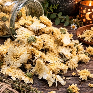 Op de afbeelding: Een glazen pot die op zijn kant ligt en een grote hoeveelheid gedroogde, lichtgele chrysantenbloemen uitstrooit. De gedroogde bloesems liggen verspreid over een donker, verweerd houten oppervlak naast een bundel kruiden en een kaars.