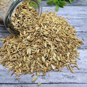 Organic Fennel Seeds