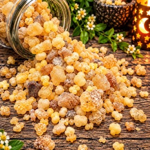Organic Frankincense Resin