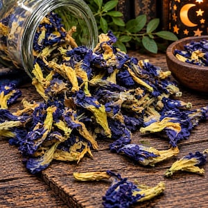 Op de afbeelding: Een glazen pot die op zijn kant ligt en een grote hoop gedroogde kittelbloemen uitstrooit. De bloemen hebben een mix van diep indigoblauwe en lichtgele tinten en liggen verspreid over een donker, verweerd houten oppervlak met zichtbare nerven.