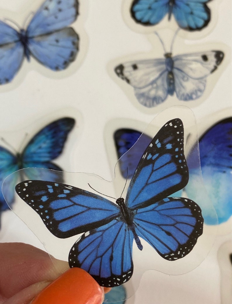 15 Assorted CLEAR BLUE MORPHO Butterfly Stickers Randomly Etsy