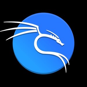 May include: A white stylized dragon logo on a blue circle. The dragon is facing right and has a long tail that wraps around the circle.