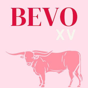 Texas Bevo Wall Art Print