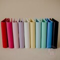 A6 Blank Budget Binders product logo