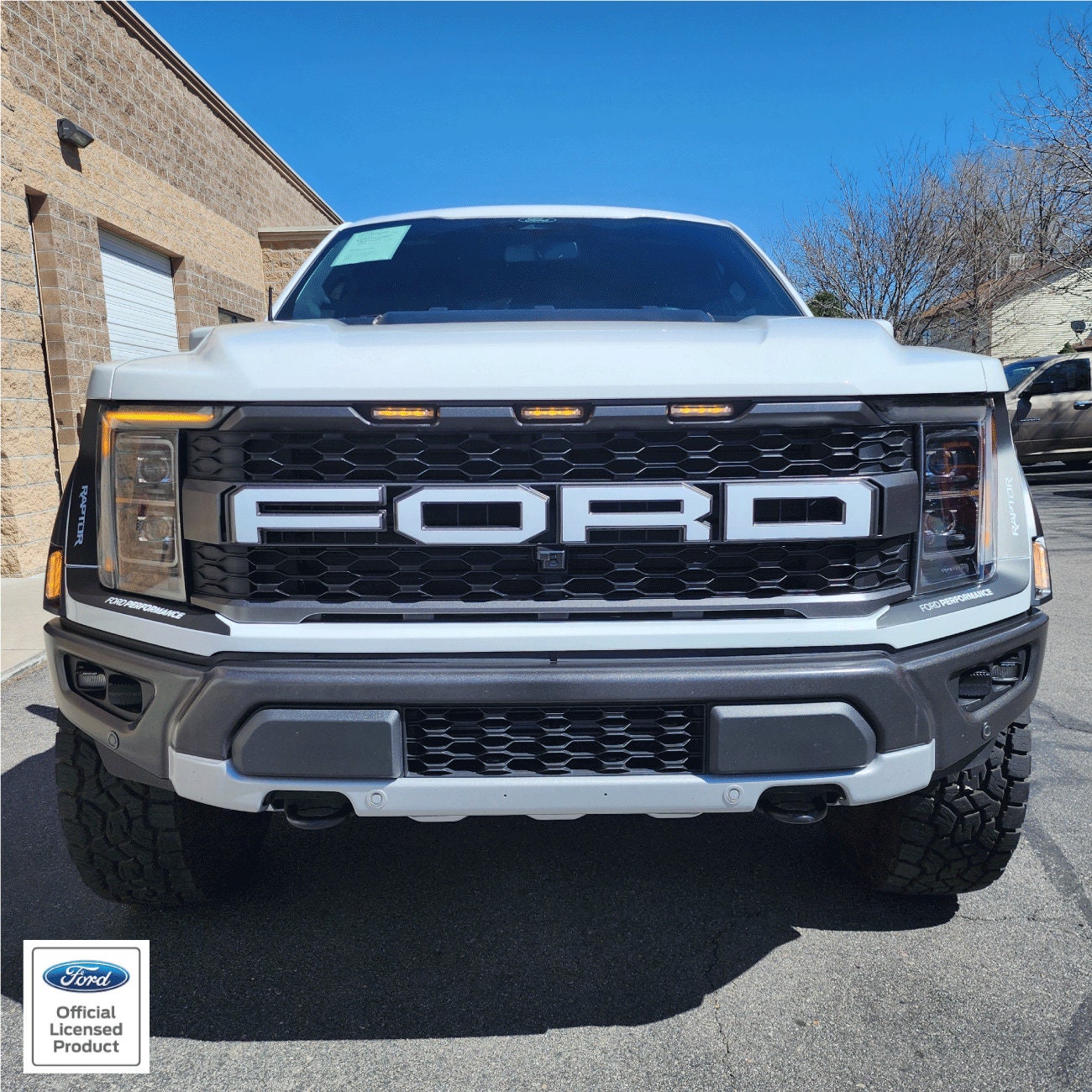 Ford Raptor Grill Logo