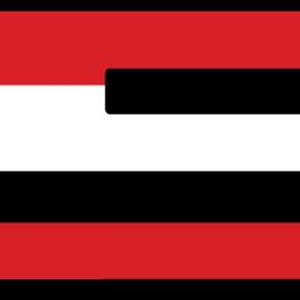 Op de afbeelding: Het woord 'ASD' wordt weergegeven in een gedurfd ontwerp. De letters 'A' en 'S' zijn gestileerd met de Amerikaanse vlag, terwijl de 'D' rood en wit is. De tekst '21+' staat in wit op een zwarte achtergrond.