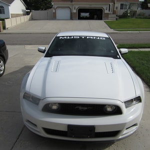 Mustang Windshield Banner