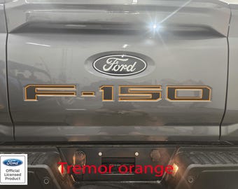 Tailgate Letters 2019 FORD F-150 VINYL DECALS STICKER INSERTS INLAYS F150 2020 E F150 Accessories - Foto 12