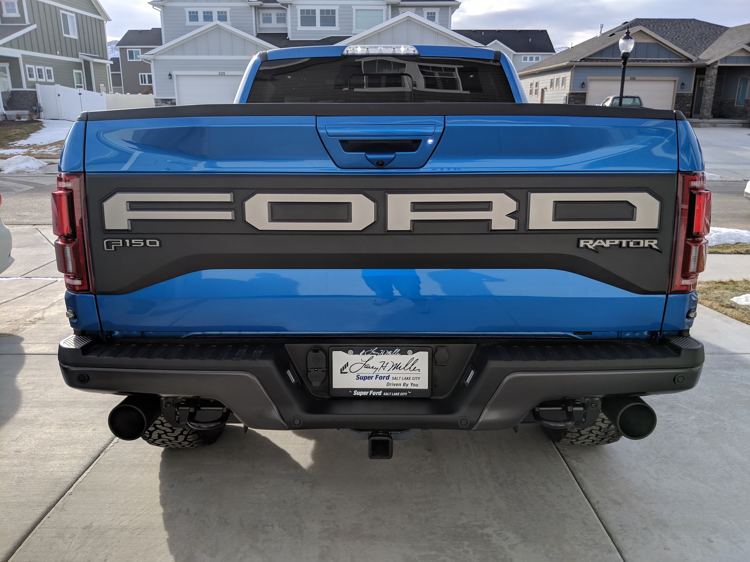 2017-2020 Ford Raptor Tailgate Vinyl Decal letters