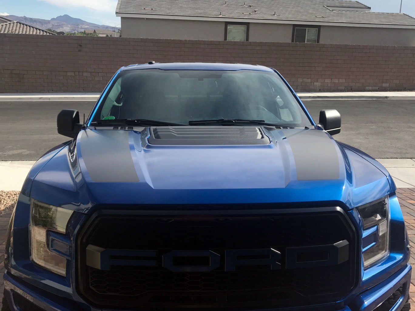 Produktbild von 2019 Ford Raptor Dual Hood Stripes With Pinstripes Vinyl Graphics