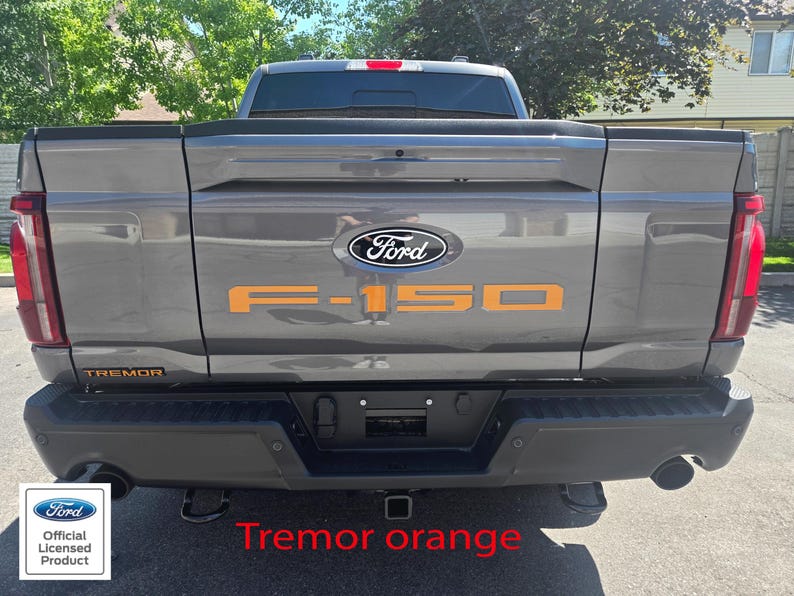 Op de afbeelding: Achteraanzicht van een grijze Ford F-150 Tremor-truck. De truck heeft oranje "F-150" letters en een Ford-embleem. De bumper is zwart en de achterlichten zijn rood. De woorden "Tremor orange" zijn in het rood geschreven.