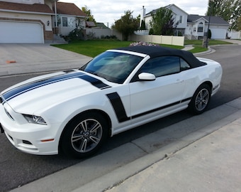 2013-2014 Mustang Boss Style Stripes Graphics