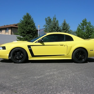 Fits 1999-2004 Ford Mustang C-Stripes
