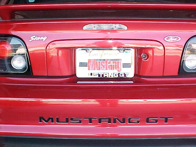 N599 2003 2004 FORD MUSTANG - COBRA - REAR BUMPER LETTER DECAL KIT