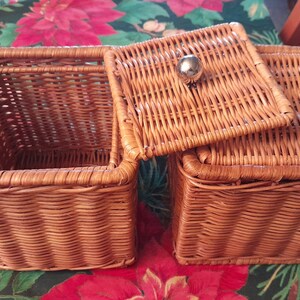 Kleine rotan rieten kubus opbergdoos manden met deksel x 2 stuks