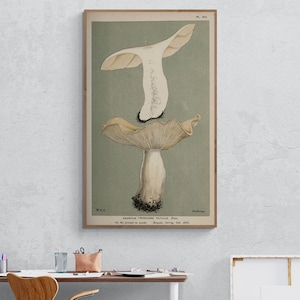 Antique Mushroom wall art, Mushroom wall decor, Mushroom prints, Fungi, Botanical, Garden, Mushroom Canvas Print for Wall Deco