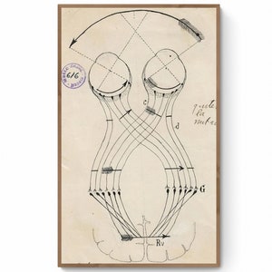 Antique Anatomical Illustration, Neuron Drawing By Santiago Ramón Y Cajal, Antique Brain Anatomy Canvas Print, Neuroscience Biology Print