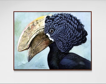 Louis Agassiz Fuertes Abyssinian Birds Art Print, Silvery-cheeked