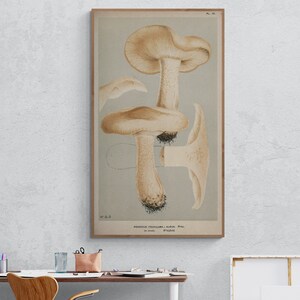 Antique Mushroom wall art, Mushroom wall decor, Mushroom prints, Fungi, Botanical, Garden, Mushroom Canvas Print for Wall Deco