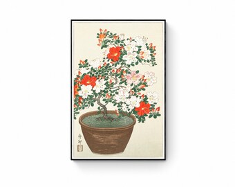 Japanese floral art prints, posters, Azalea by Ohara Koson fine art canvas print, Japanese paintings, Japanese woodblock paintings