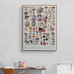 Antique Mushroom wall art, Mushroom wall decor, Mushroom prints, Fungi, Botanical, Garden, Mushroom Canvas Print for Wall Deco