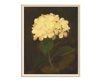 Hydrangea Painting Vintage Floral Art: White Hydrangea Illustration - Antique Botanical Style, Classic Wall Hanging