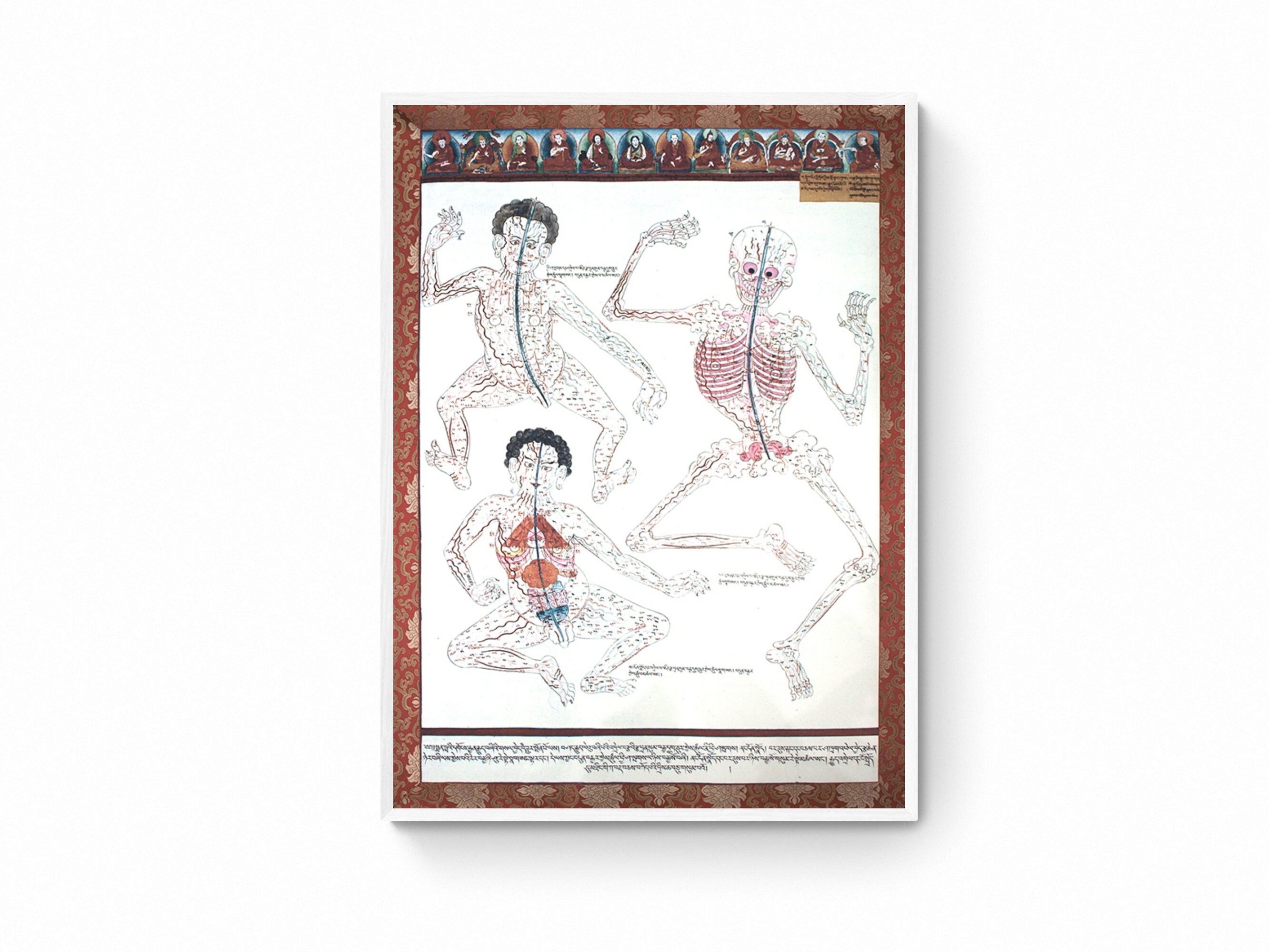 洋書 Tibetan Medical Paintings Ancient Tibetan Medicine Painting, Antique Anatomy Art Print