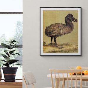 Dodo Birds Canvas Print Wall Art Home Decor, Extinct Flightless Bird Illustration Canvas Print, Bird Poster, Bird Art Antique Rare Birds Art
