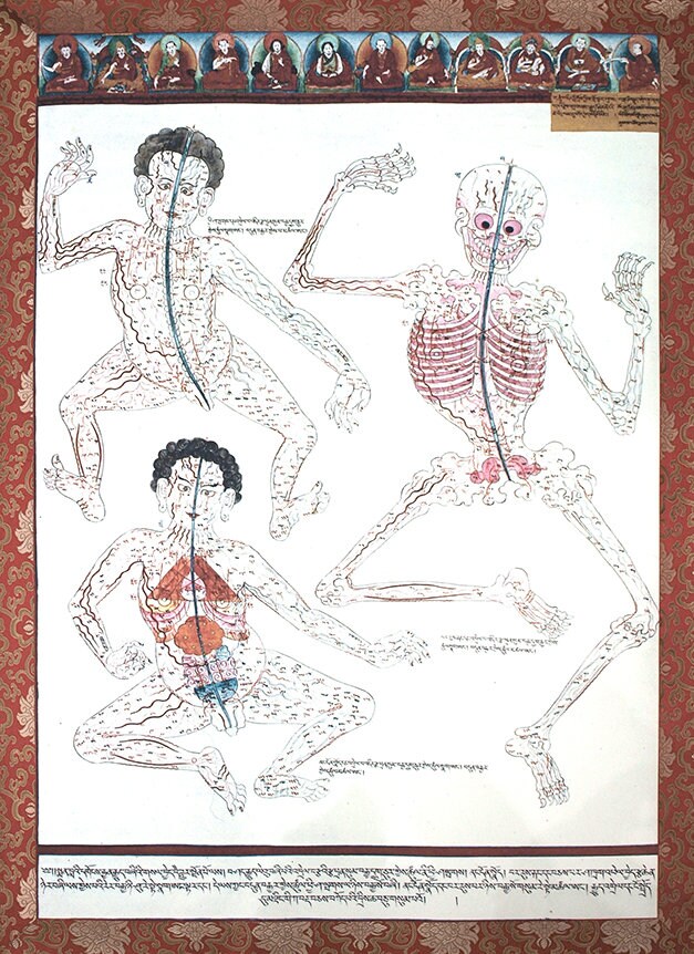 Ancient Tibetan Medicine Painting, Antique Anatomy Art Print