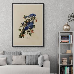 Birds of America by John James Audubon Canvas Print, Aududon American Exotic Birds Illustration Canvas Wall Art Home Decor