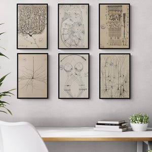 Set of 6 Print - Antique Anatomical Illustration, Neuron Drawing By Santiago Ramón Y Cajal, Brain Anatomy, Neuroscience Biology