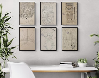 Zestaw 6 wydruków – antyczna ilustracja anatomiczna, rysunek neuronu autorstwa Santiago Ramóna Y Cajala, anatomia mózgu, biologia neuronauki