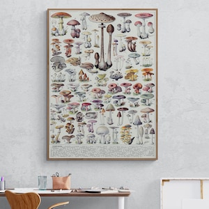 Antique Mushroom wall art, Mushroom wall decor, Mushroom prints, Fungi, Botanical, Garden, Mushroom Canvas Print for Wall Deco