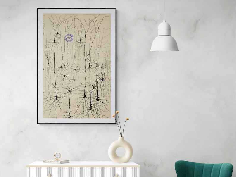 Może przedstawiać: Czarno-biała, vintage'owa ilustracja neuronu, czyli kom&oacute;rki nerwowej, z dendrytami i aksonem. Ilustracja jest oznaczona literami od A do M.