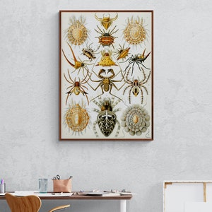Antique Paleontology Poster of Different Kind of Spiders by Ernst Haeckel, Vintage Paleontology Canvas Print Wall Art, Paleoart Wall Decor