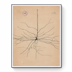 Antique Anatomical Illustration, Neuron Drawing By Santiago Ramón Y Cajal, Antique Brain Anatomy Canvas Print, Neuroscience Biology Print