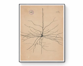 Antyczna ilustracja anatomiczna, rysunek neuronu autorstwa Santiago Ramón Y Cajal, antyczna anatomia mózgu wydruk na płótnie, wydruk biologii neurologicznej