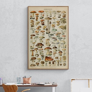 Antique Mushroom wall art, Mushroom wall decor, Mushroom prints, Fungi, Botanical, Garden, Mushroom Canvas Print for Wall Deco