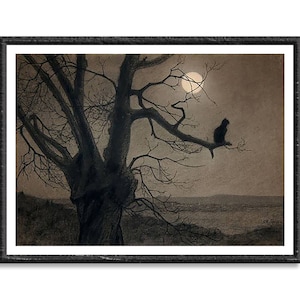 Peut inclure: Un chat noir est assis sur une branche nue d'un arbre, en silhouette contre une pleine lune dans un ciel sombre. L'arbre est au premier plan et la lune est en arrière-plan.