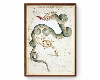 Draco & Ursa Minor Constellation Canvas Print, Vintage Star Map
