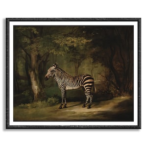 Dipinto antico Zevra, Zebra di George Stubbs Stampa artistica su tela, olio del XVIII secolo, Arte murale Zebra, Animali carini, Arte vintage della fauna selvatica