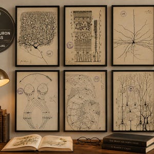 Set of 6 Ramón y Cajal Neuron Prints – Dark Academia Scientific Wall Art