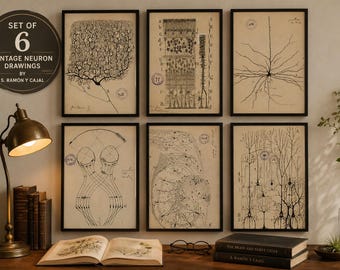6er Set Ramón und Cajal Neuron Prints - Dark Academia Wissenschaftliche Wandkunst