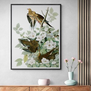 Mourning Dove - Birds of America Canvas Print Wall Art, Bird and Flower Floral Canvas Wall Art, Antique Bird Illustration